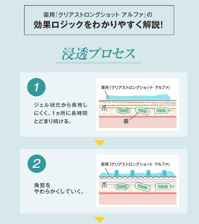 クリアストロングショットアルファの浸透プロセス