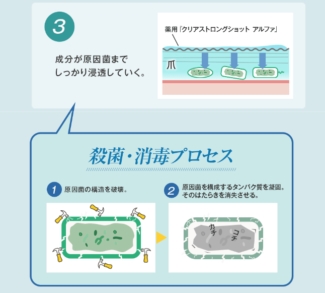 クリアストロングショットアルファの浸透プロセス2