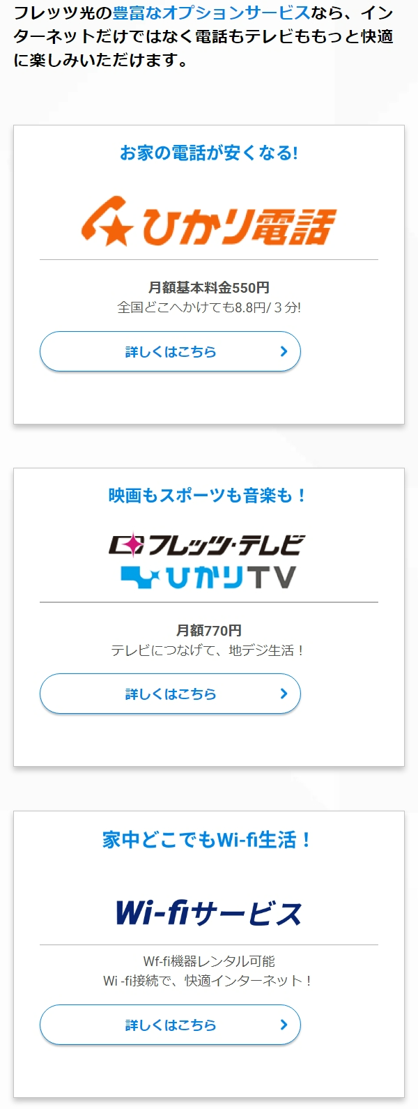 フレッツ光のオプション