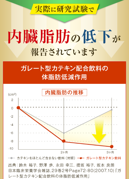 カテキン緑茶 荒畑園の内臓脂肪を低下3