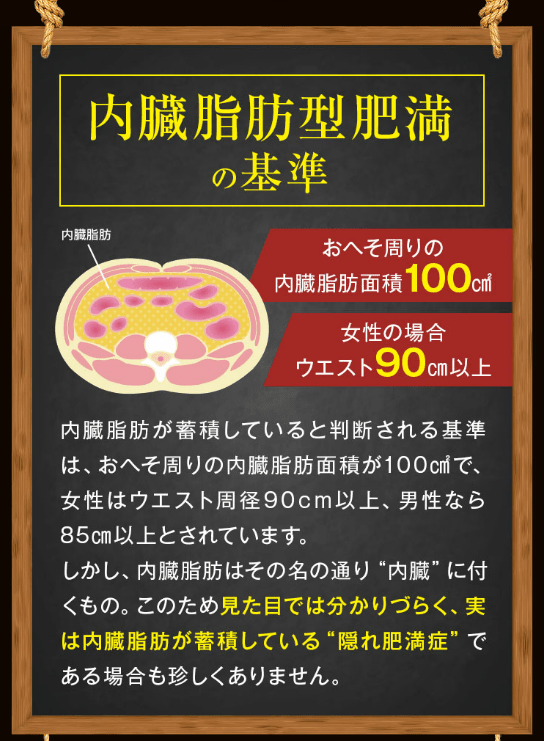 カテキン緑茶 荒畑園の内臓脂肪の基準